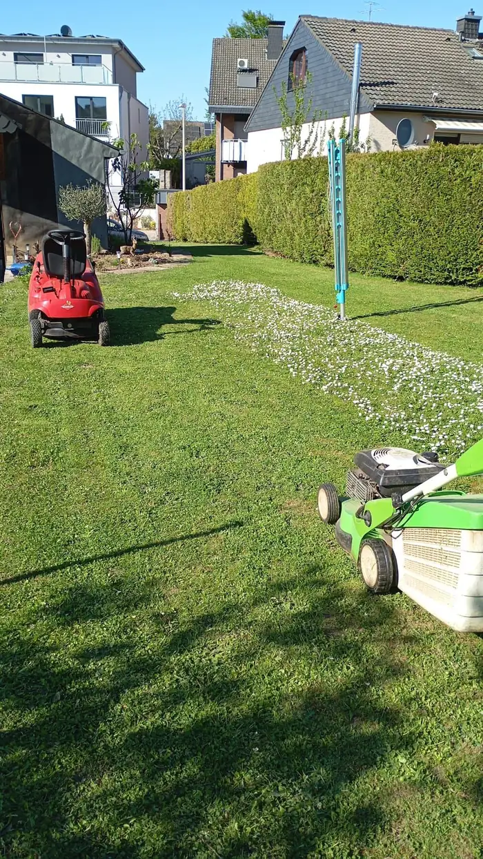 Gepflegter Gartenbereich