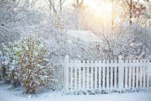 Verschneiter Garten mit weißem Zaun